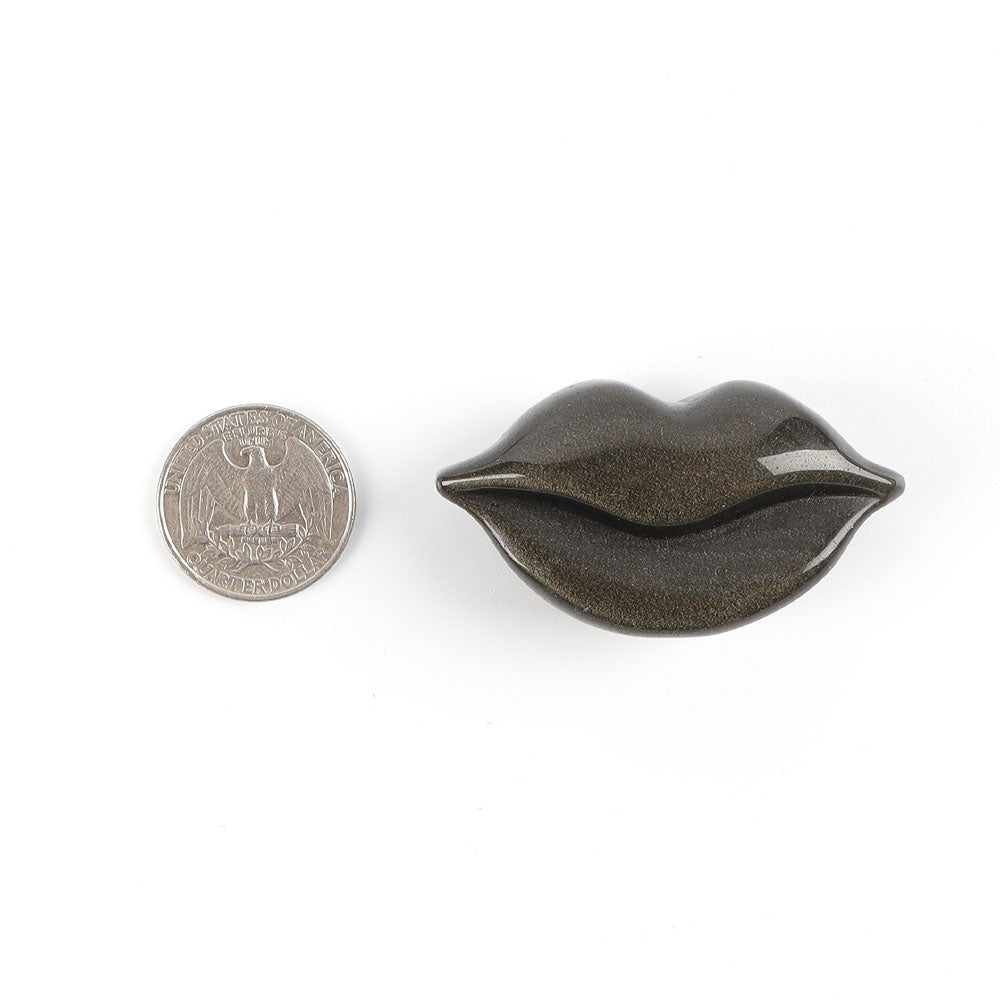 2.1 inch Silver Obsidian Lips Crystal Figurine Hand Carving