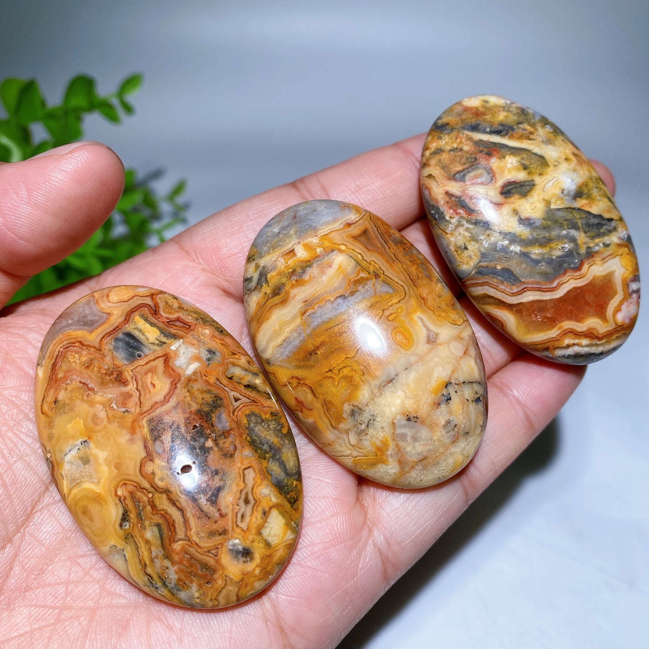 2.2 Inch Crazy Agate Multicolor Palm Stone Crystal Healing