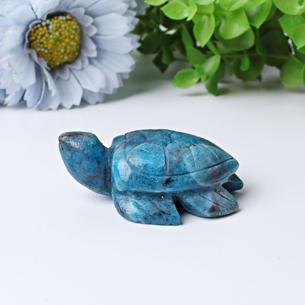 2.3 inch Blue Apatite Sea Turtle Crystal Carving for Prosperity & Protection