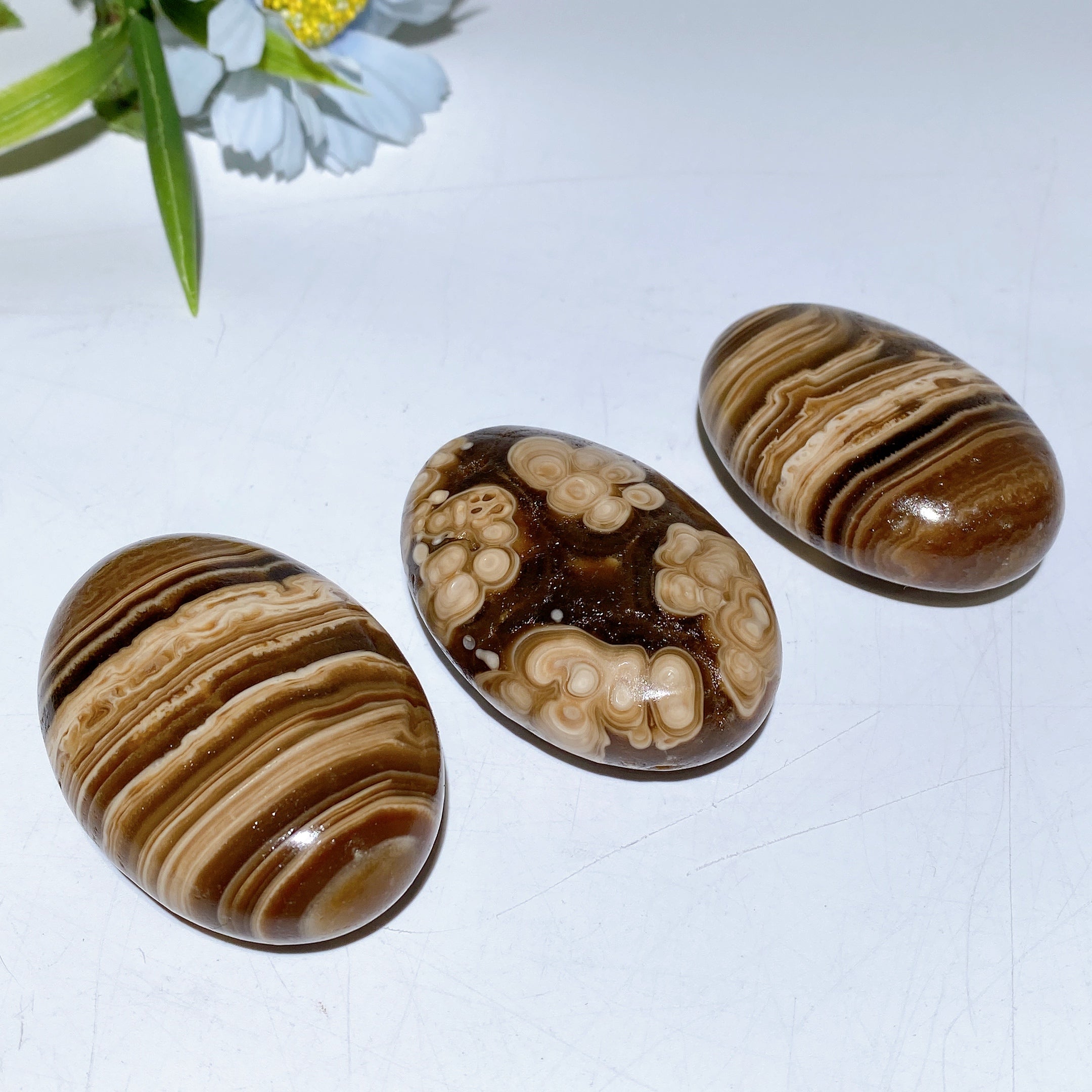 2.4 inch Chocolate Calcite Palm Stone for Healing