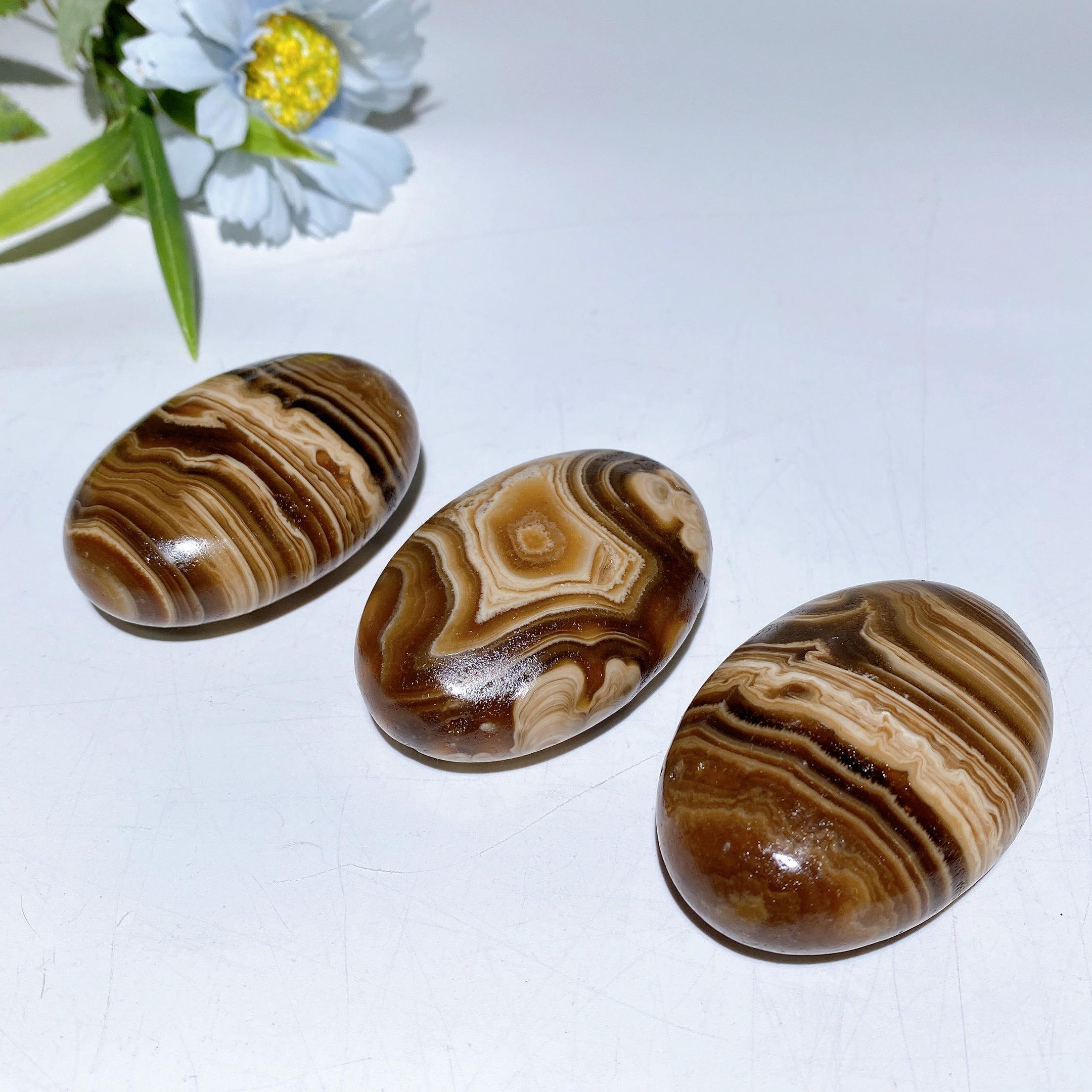 2.4 inch Chocolate Calcite Palm Stone for Healing