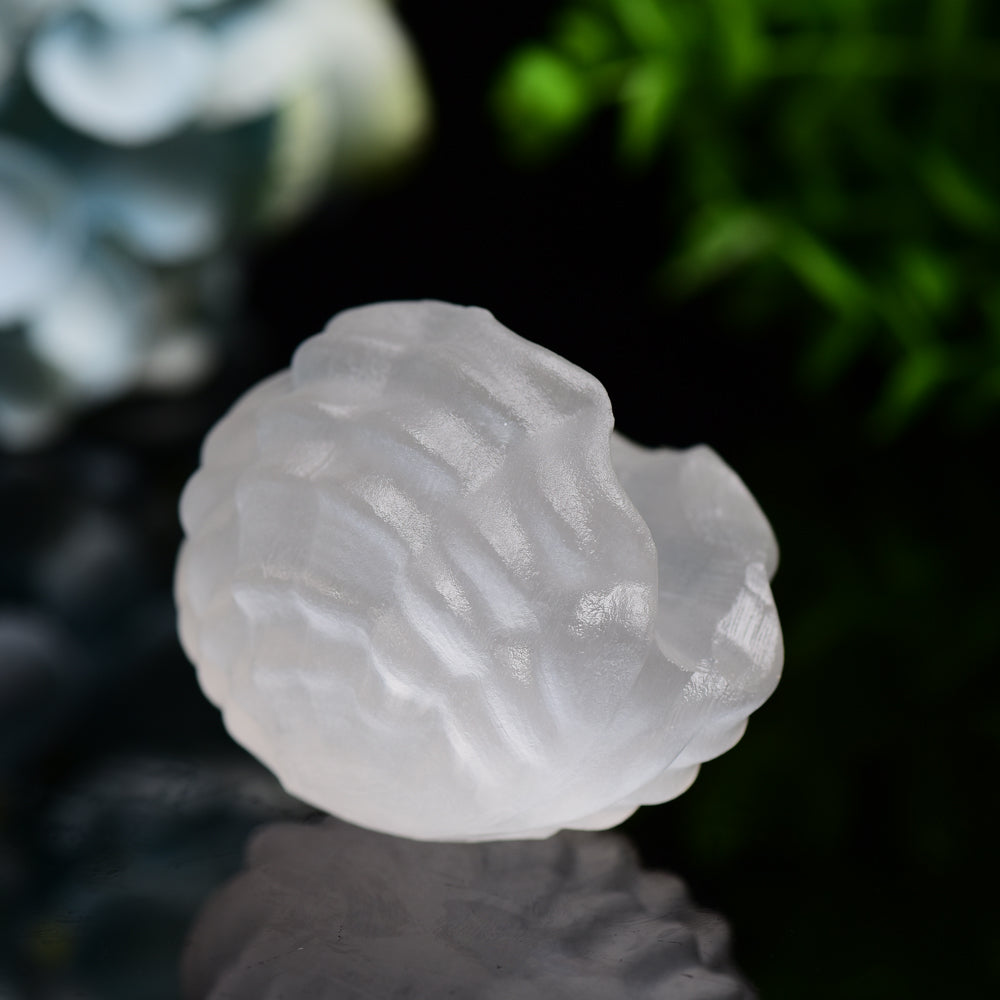 2.4-inch Selenite Shell Shape Crystal Carving