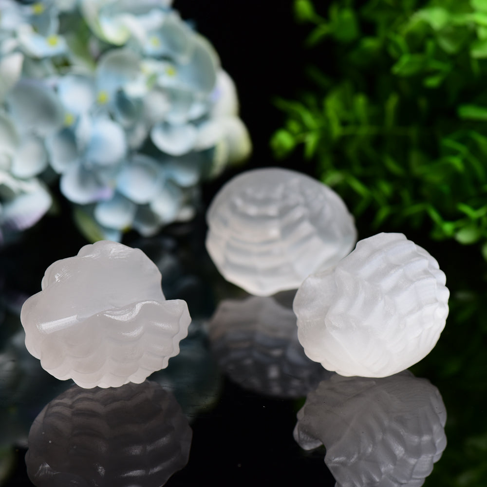 2.4-inch Selenite Shell Shape Crystal Carving