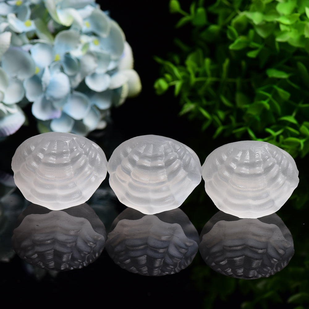2.4-inch Selenite Shell Shape Crystal Carving