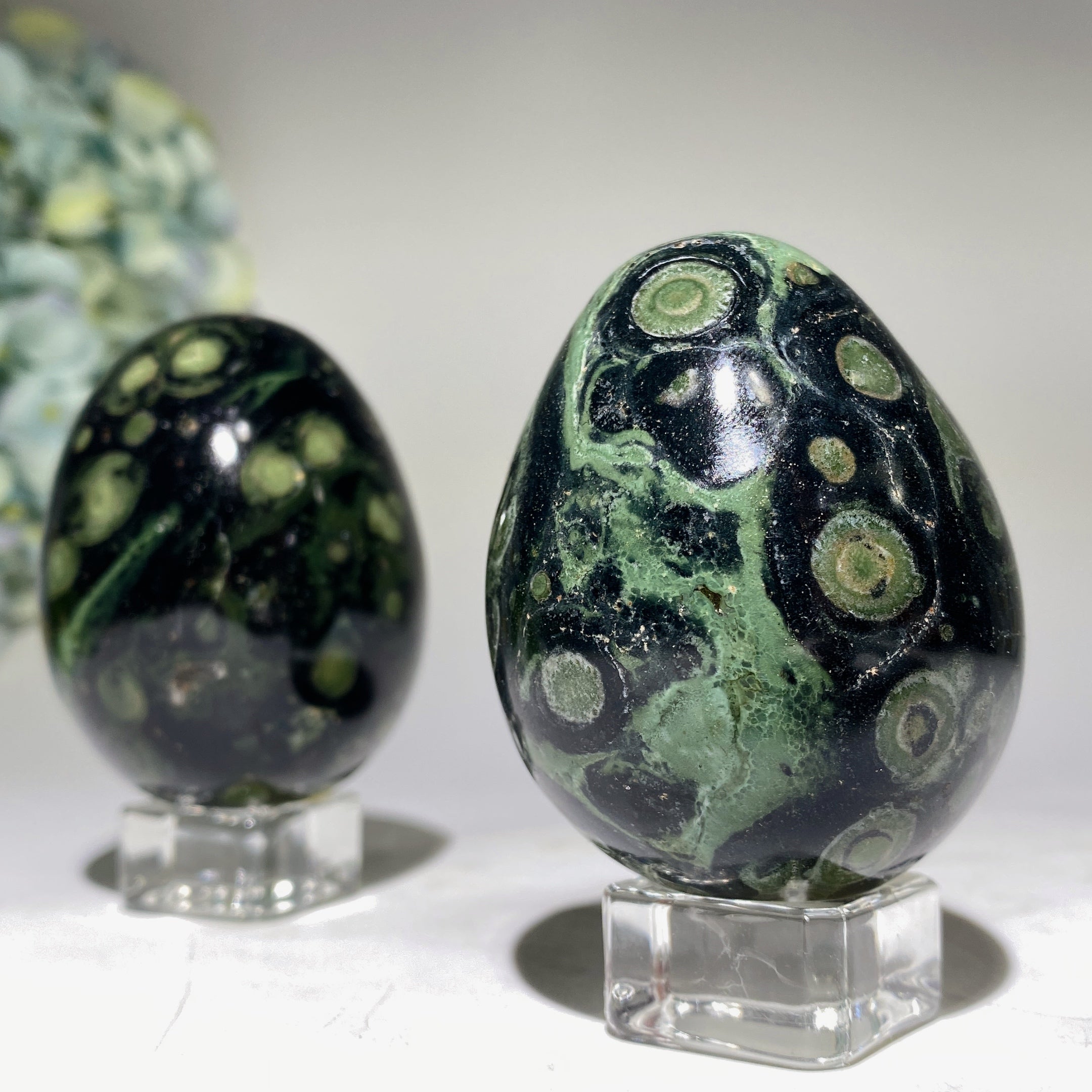 2.5-2.7 inch Kambaba Jasper Crystal Egg for Healing Meditation