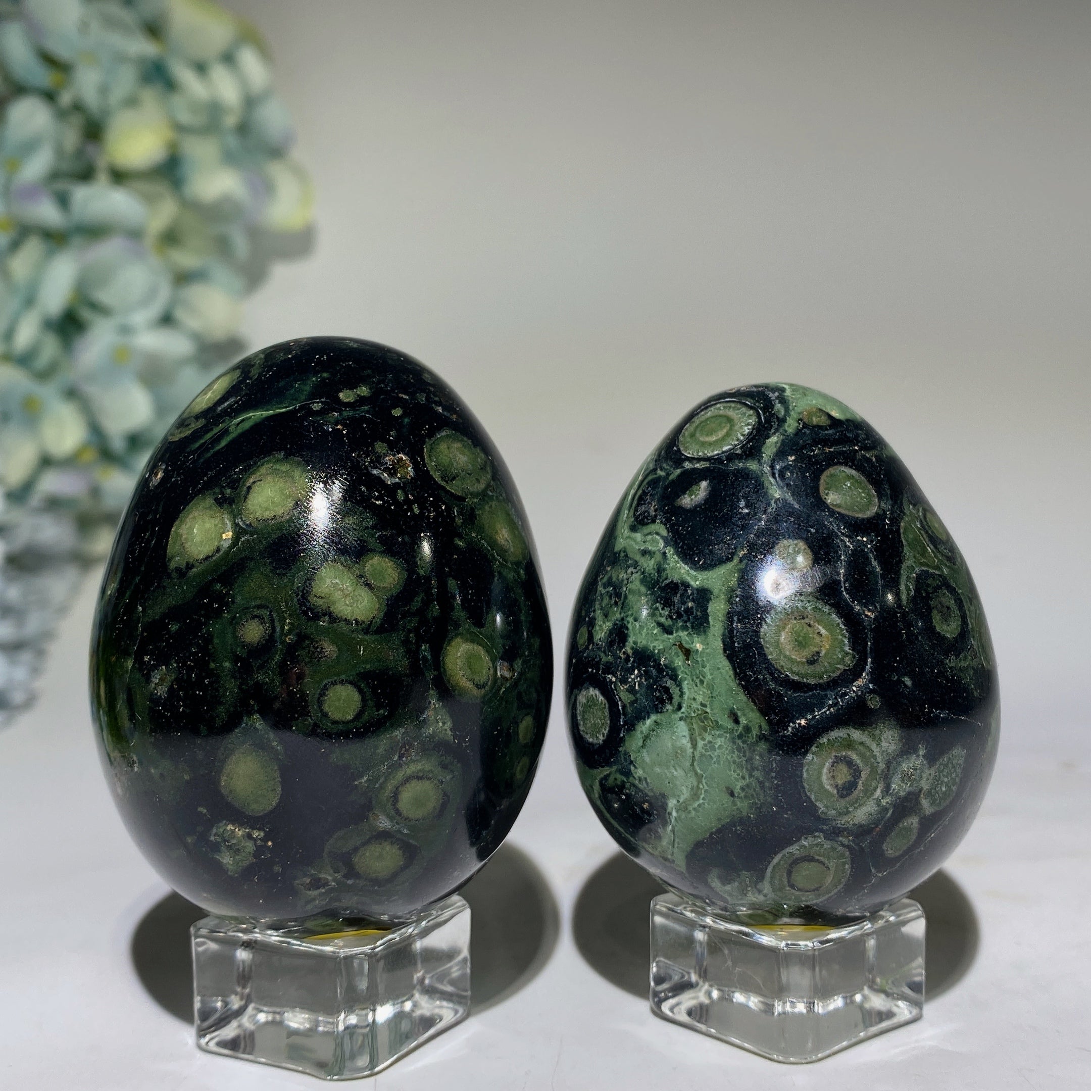 2.5-2.7 inch Kambaba Jasper Crystal Egg for Healing Meditation