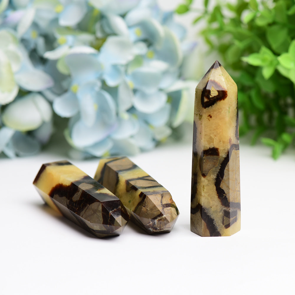 2.5-4.5 Inch Septarium Crystal Point Set for Healing
