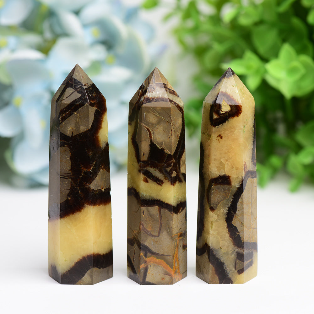 2.5-4.5 Inch Septarium Crystal Point Set for Healing