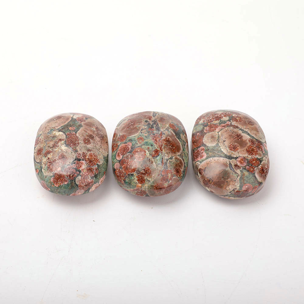 2.5 Inch Fireworks Palm Stone Polished for Healing Energy