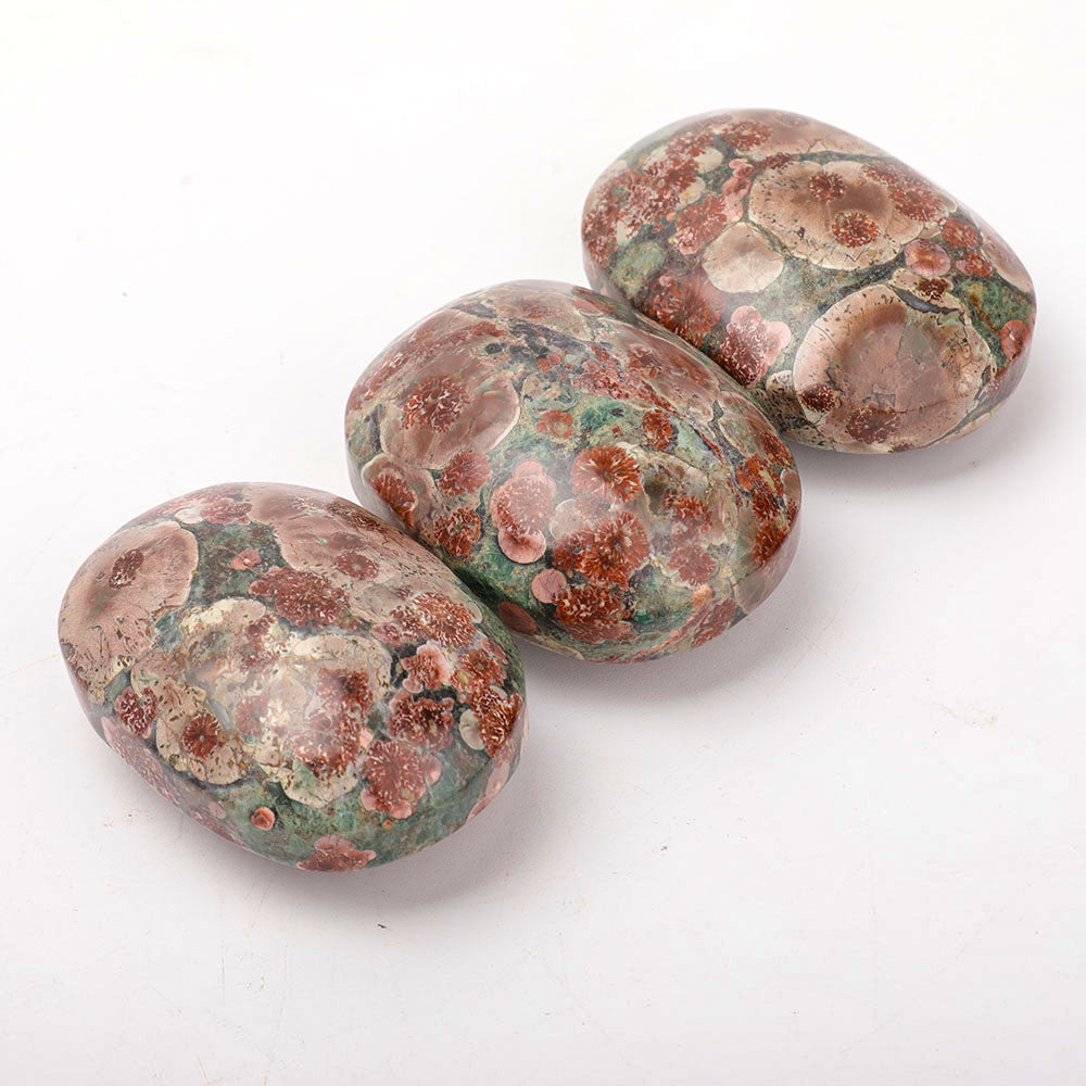 2.5 Inch Fireworks Palm Stone Polished for Healing Energy