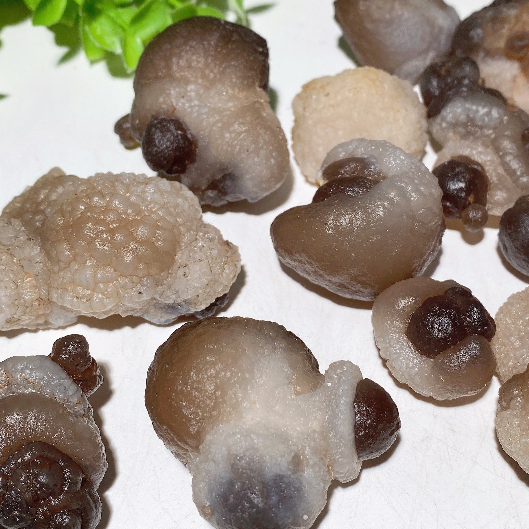 2-5cm Panda Agate Raw Healing Crystal Stones Bag
