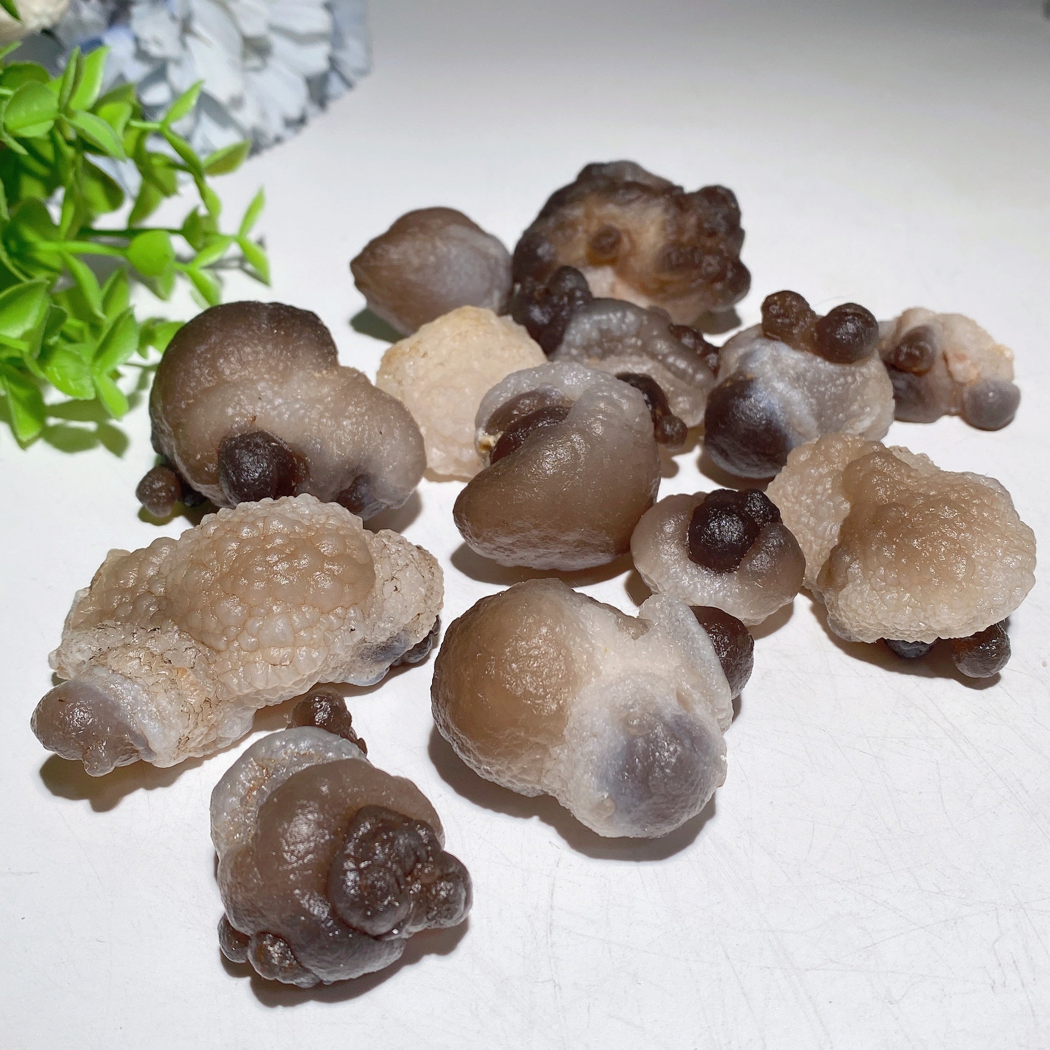 2-5cm Panda Agate Raw Healing Crystal Stones Bag
