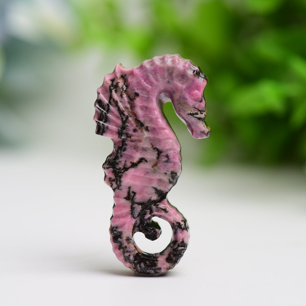 2" Hand Carved Fluorite & Rhodonite Hippocampus Crystal
