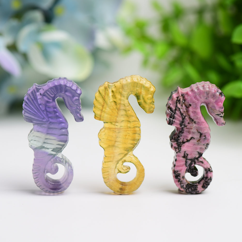 2" Hand Carved Fluorite & Rhodonite Hippocampus Crystal
