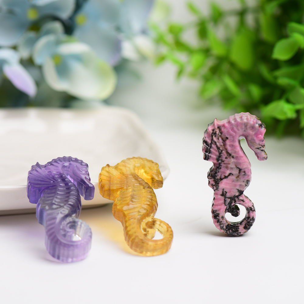 2" Hand Carved Fluorite & Rhodonite Hippocampus Crystal