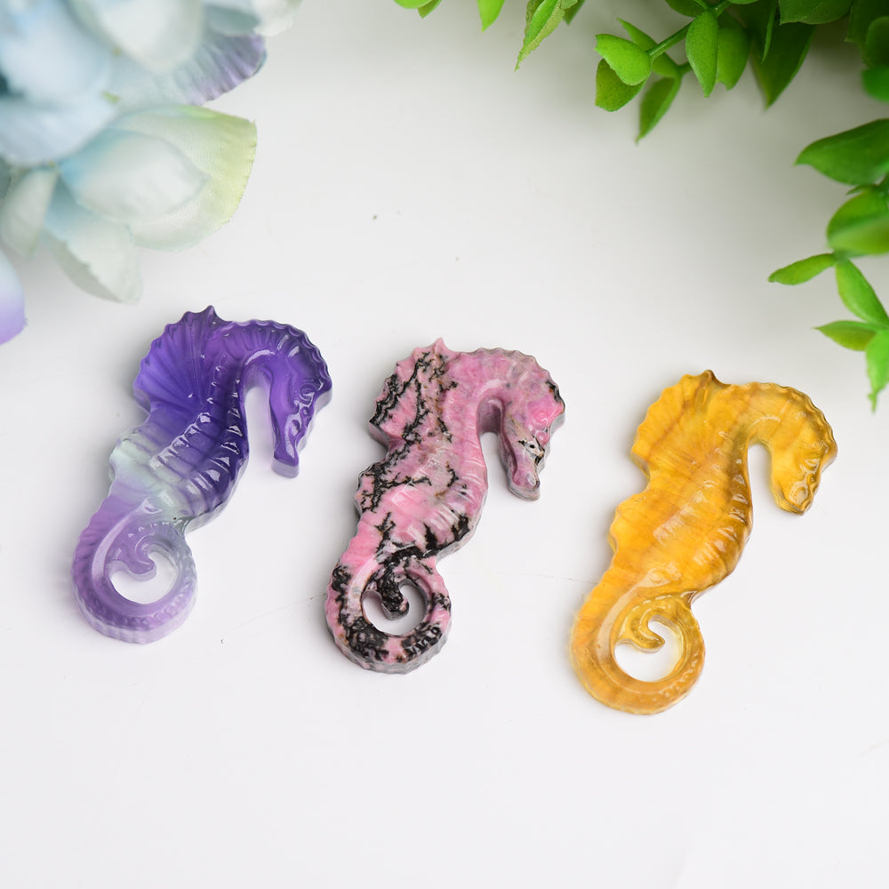 2" Hand Carved Fluorite & Rhodonite Hippocampus Crystal