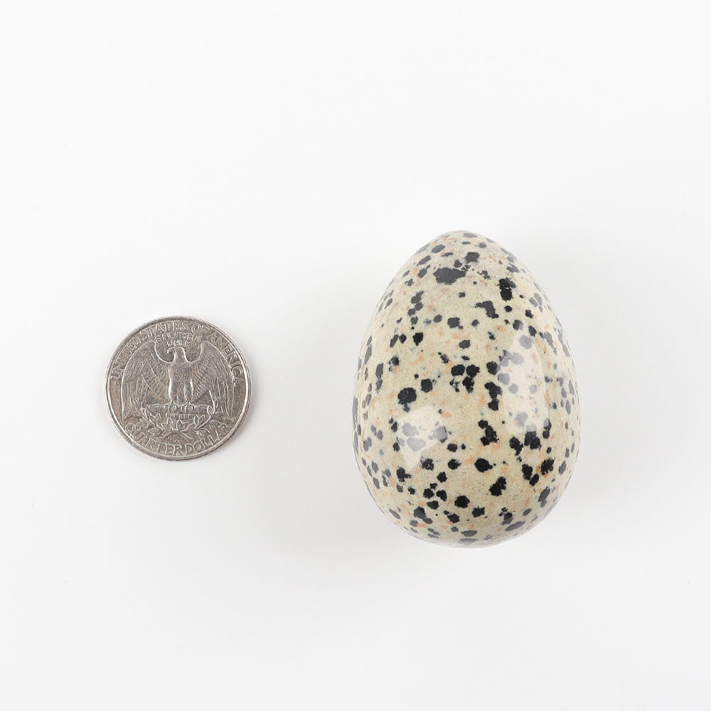 2-Inch Dalmatian Jasper Egg Crystal Palm Stone for Healing