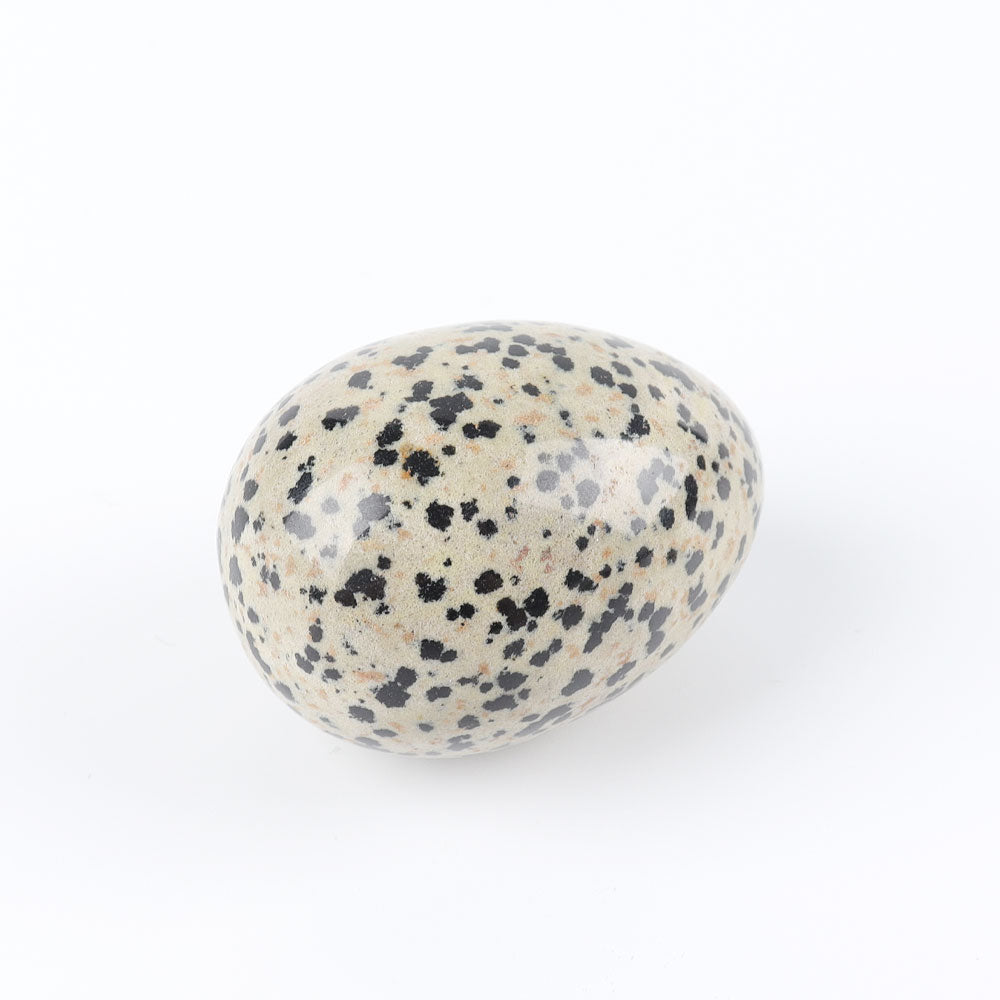 2-Inch Dalmatian Jasper Egg Crystal Palm Stone for Healing