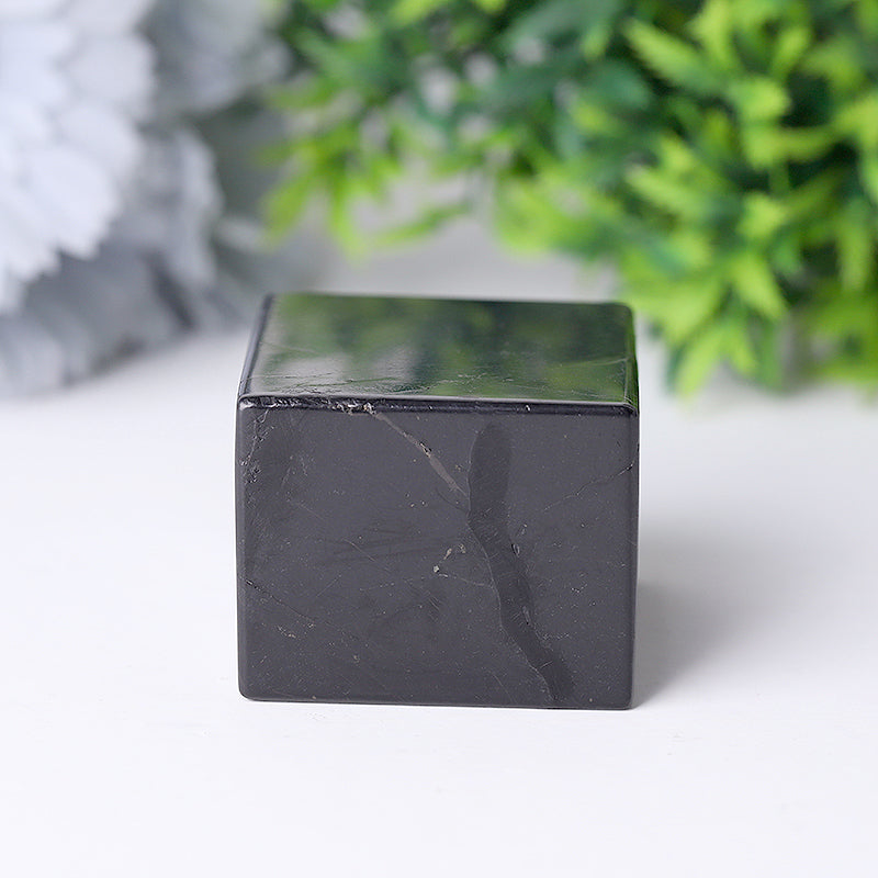2-Inch Natural Shungite Healing Crystal Cube