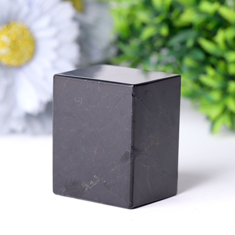 2-Inch Natural Shungite Healing Crystal Cube