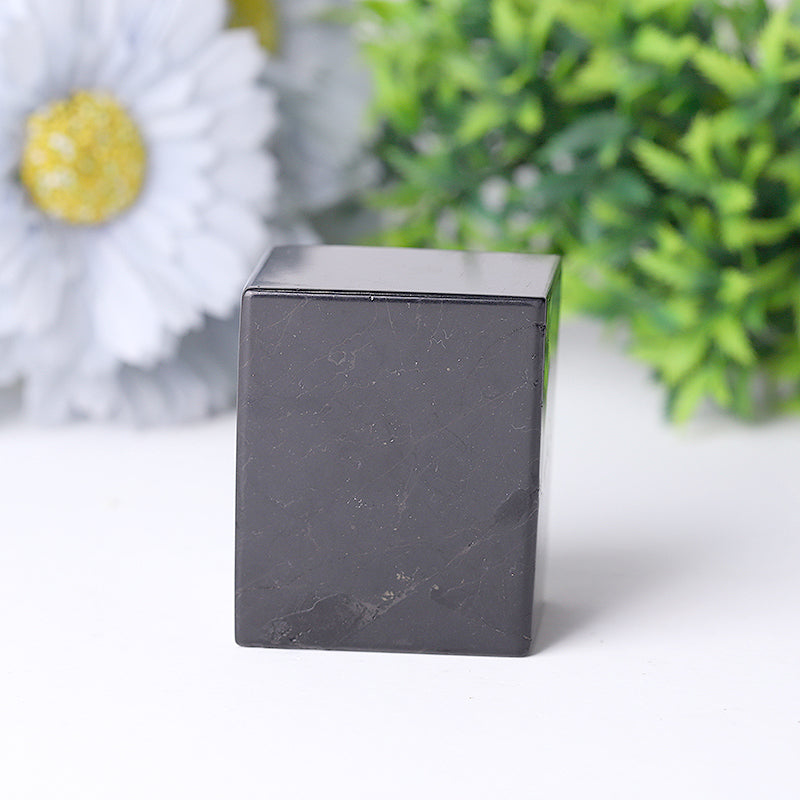 2-Inch Natural Shungite Healing Crystal Cube
