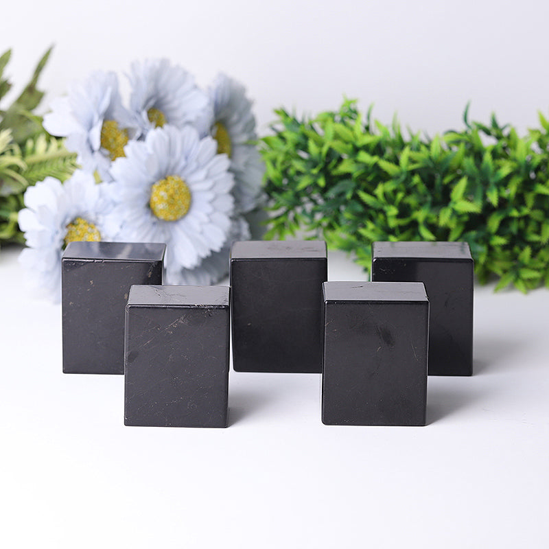 2-Inch Natural Shungite Healing Crystal Cube