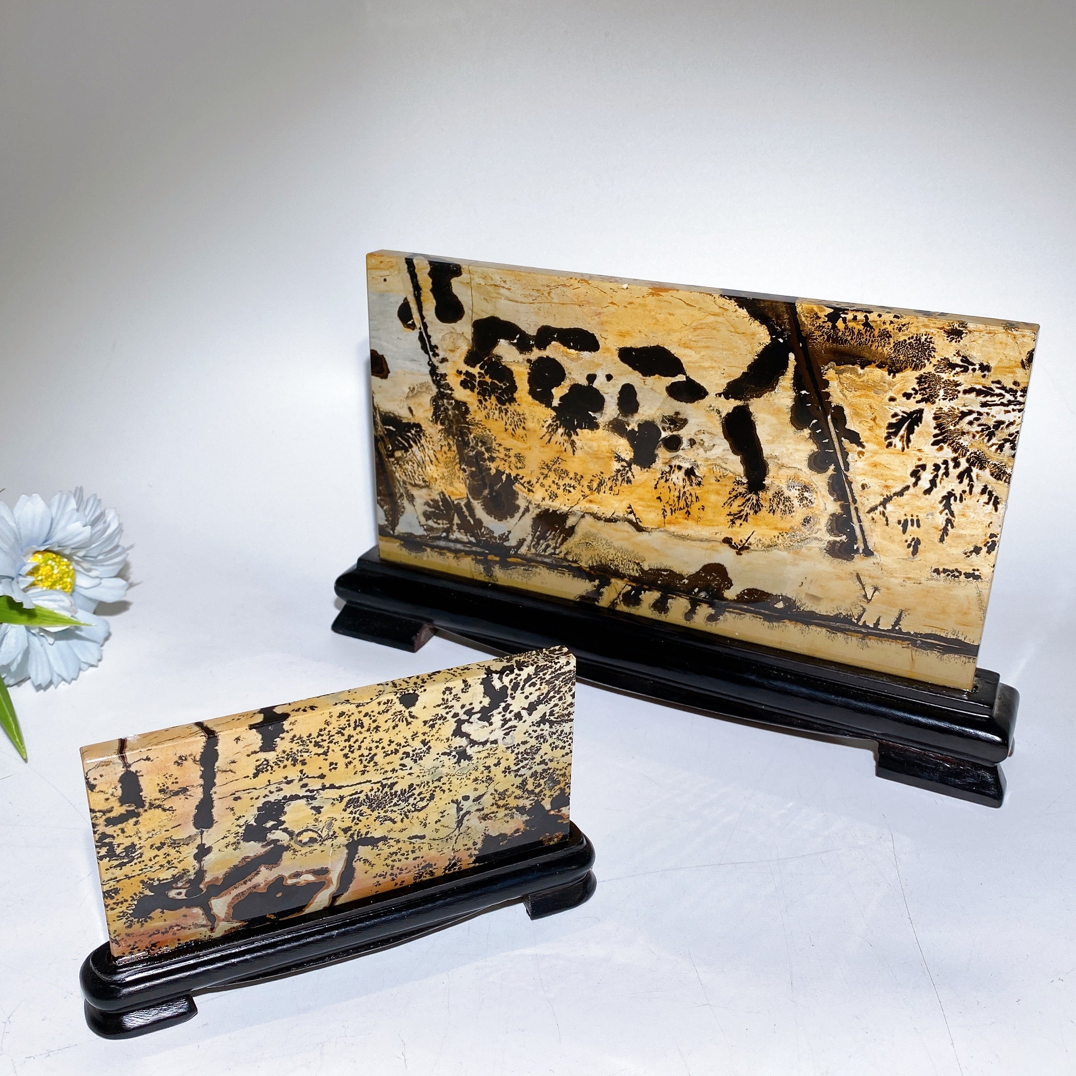 22cm Picture Jasper Crystal Slab with Stand for Healing