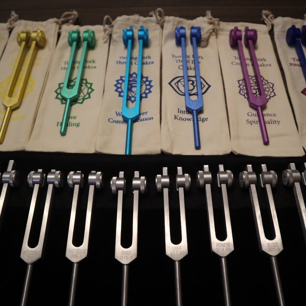 Colorful tuning forks with chakra symbols for sound healing and human biology