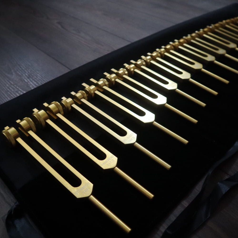 24pc Solfeggio Tuning Fork Set for Sound Healing Gold & Silver - On sale