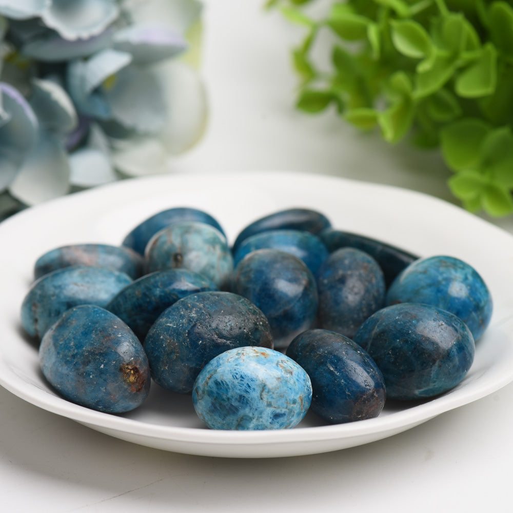 25-30mm Blue Apatite Tumbled Crystal Stones