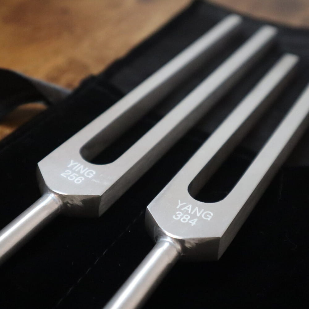 Metal tuning forks with YANG markings for biofield therapy, 256 Hz and 384 Hz