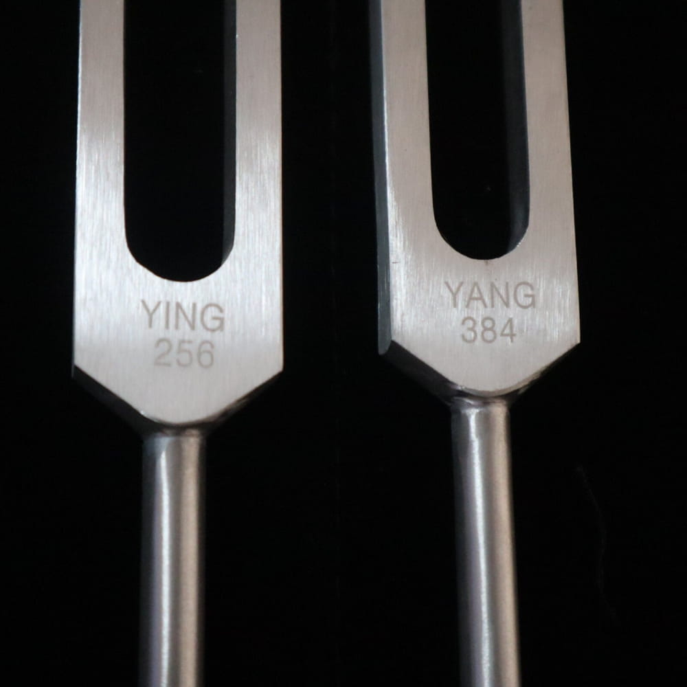 Two Yin Yang tuning forks labeled 256 Hz and 384 Hz for Biofield Therapy