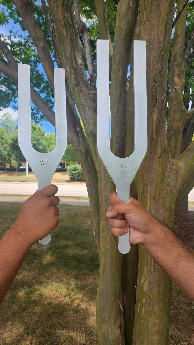 Two tuning forks against a tree trunk for healing therapy at 256Hz and 384Hz