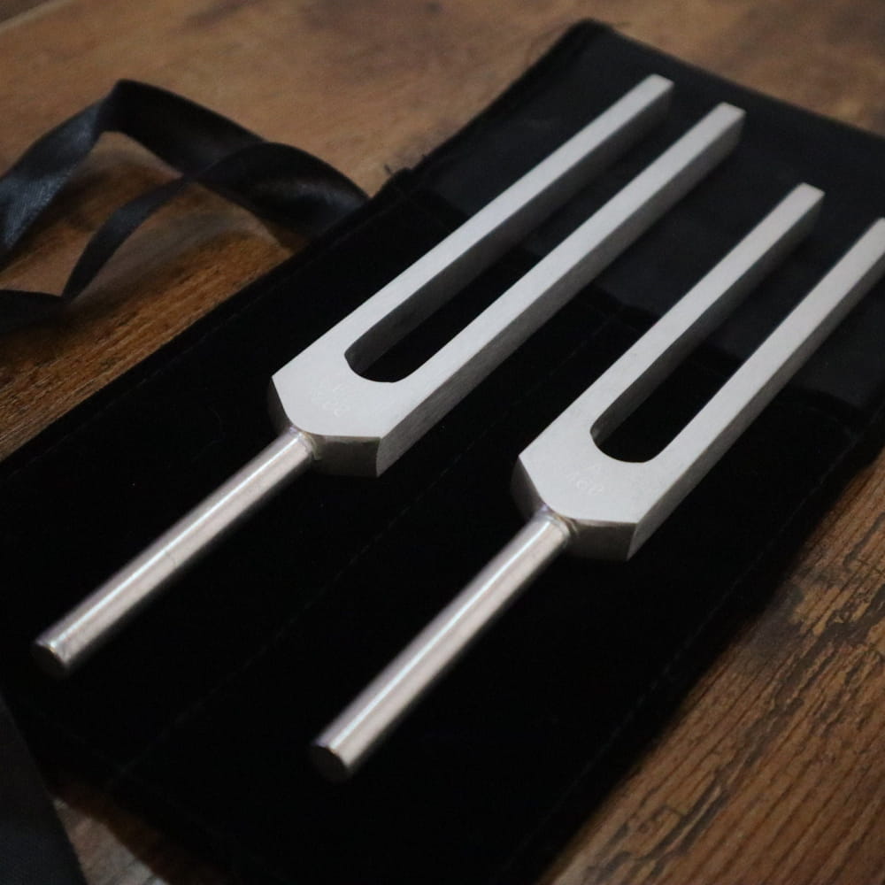 Two metal tuning forks on black fabric from Phi Biofield Tuning Fork Set