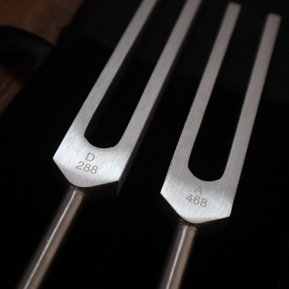 Two tuning forks marked 288 Hz and 468 Hz in Phi Biofield Tuning Fork Set