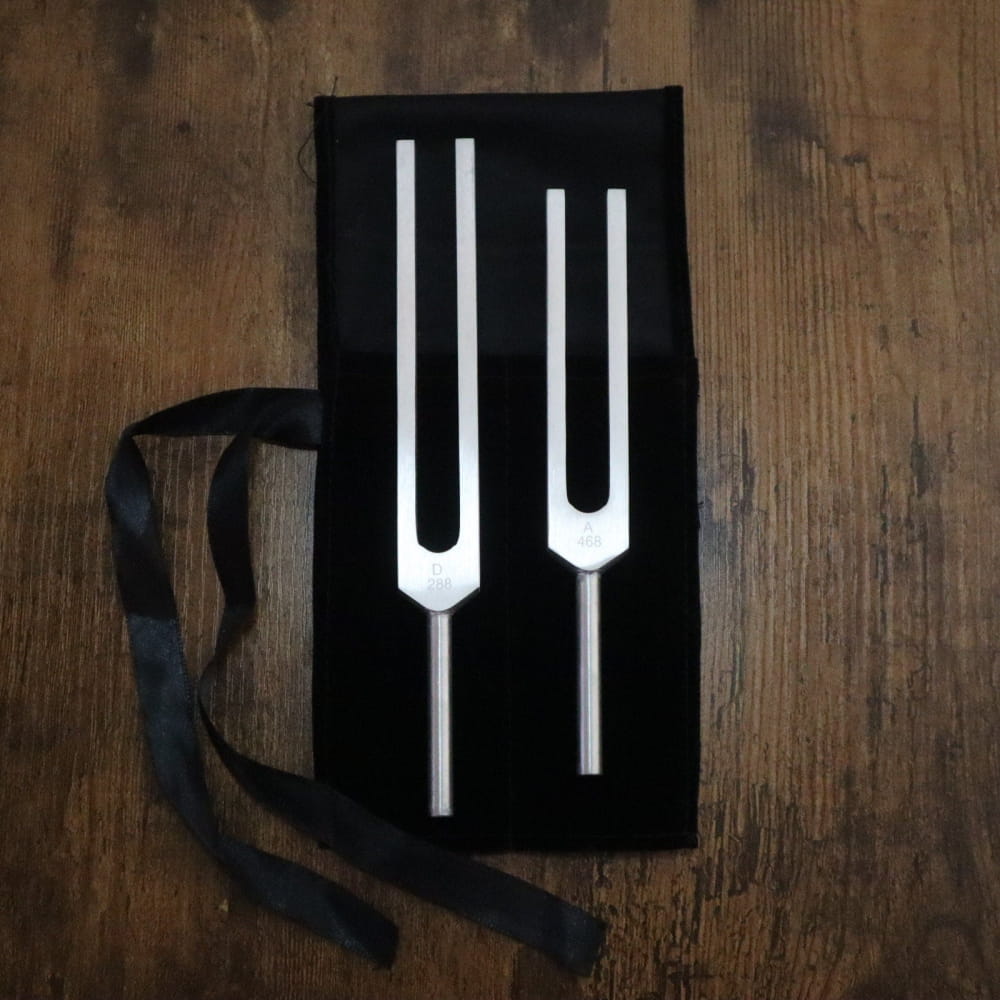 Two silver tuning forks on a black fabric case for healing and energy alignment