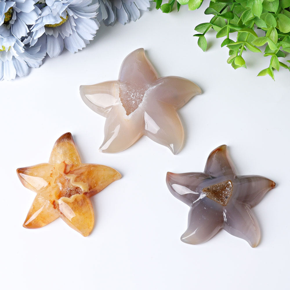 3.0-3.5 Inch Druzy Agate Starfish Crystal Carving