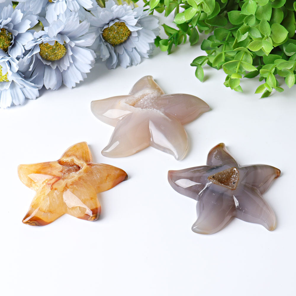 3.0-3.5 Inch Druzy Agate Starfish Crystal Carving