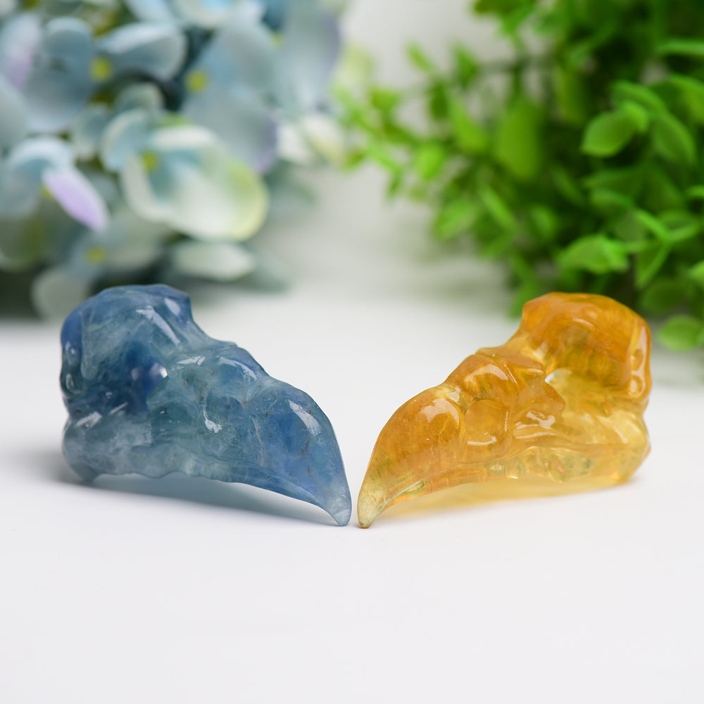 3.0 Inch Fluorite Raven Skull Crystal Figurine