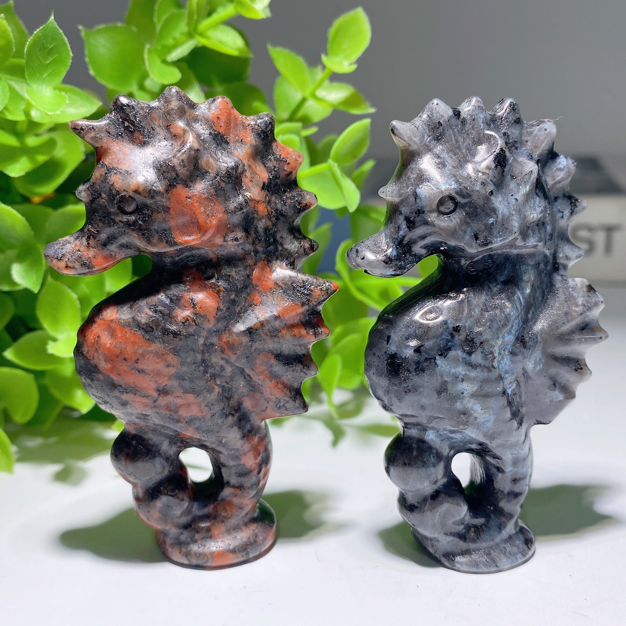 3.1 inch Larvikite Hippocampus Crystal Healing Carving
