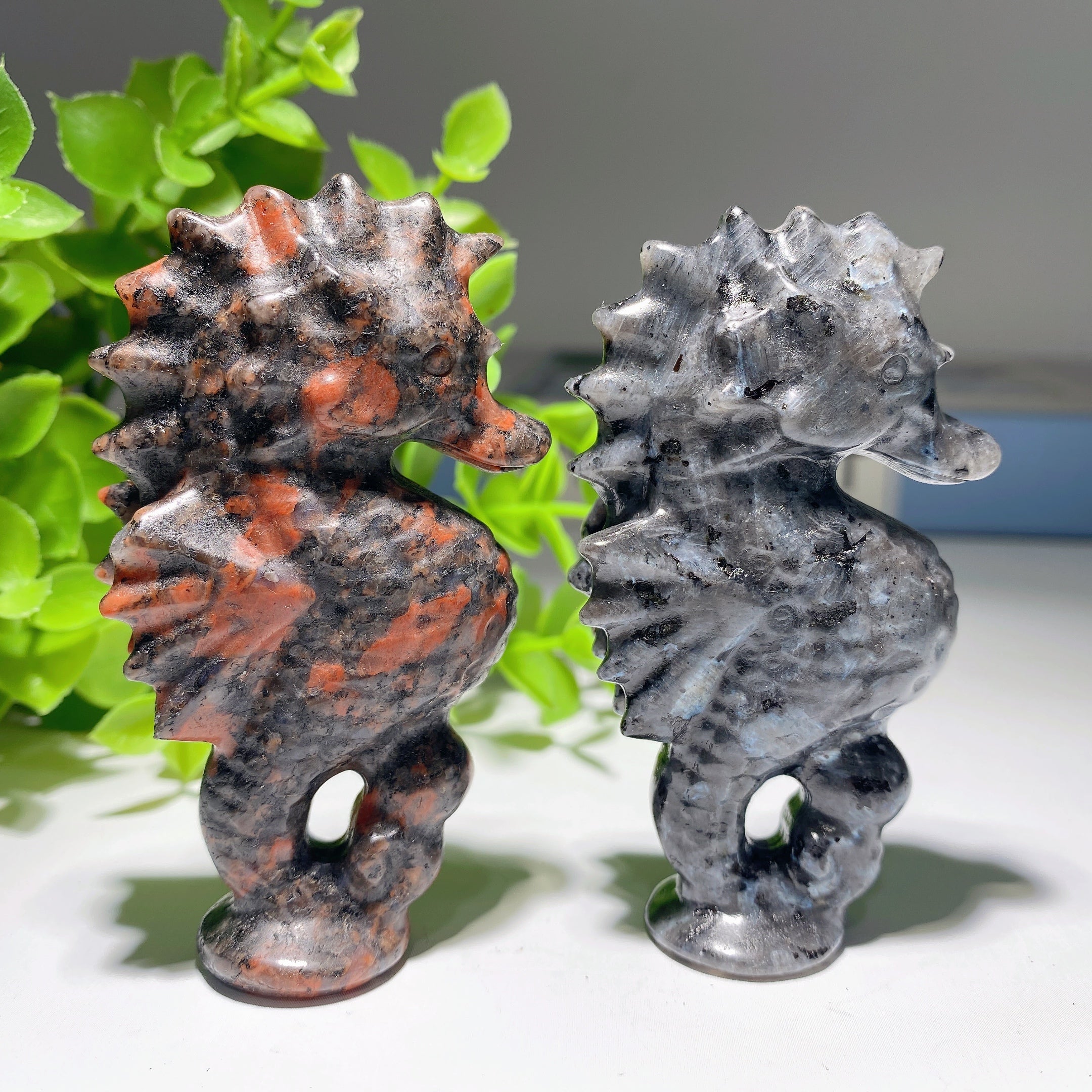 3.1 inch Larvikite Hippocampus Crystal Healing Carving