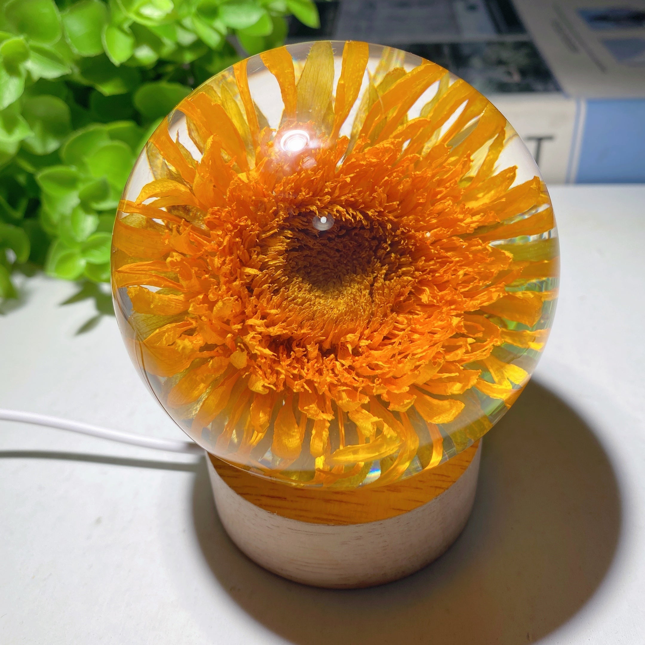 3.1 inch Resin Sunflower Sphere with Wooden Lamp Stand