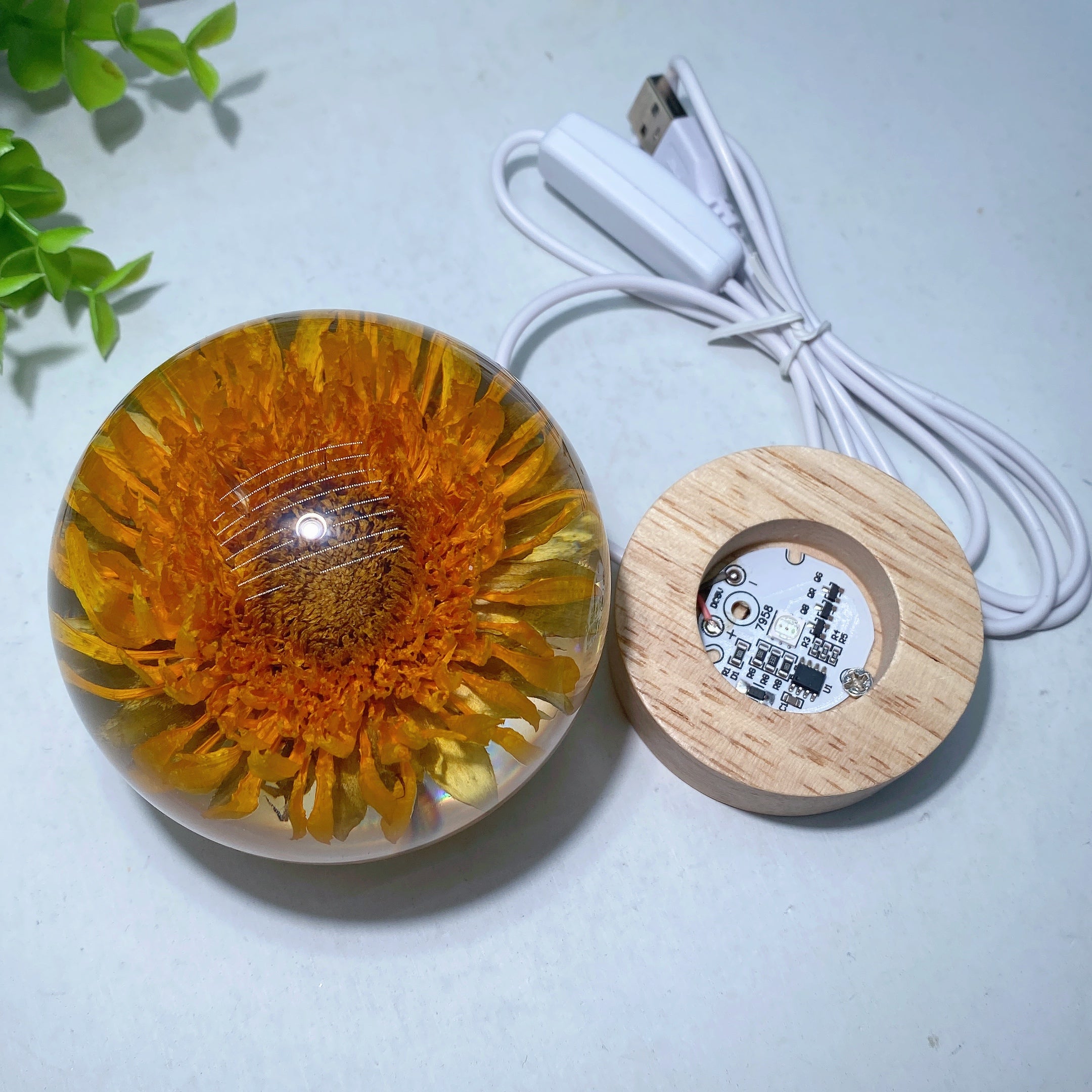3.1 inch Resin Sunflower Sphere with Wooden Lamp Stand