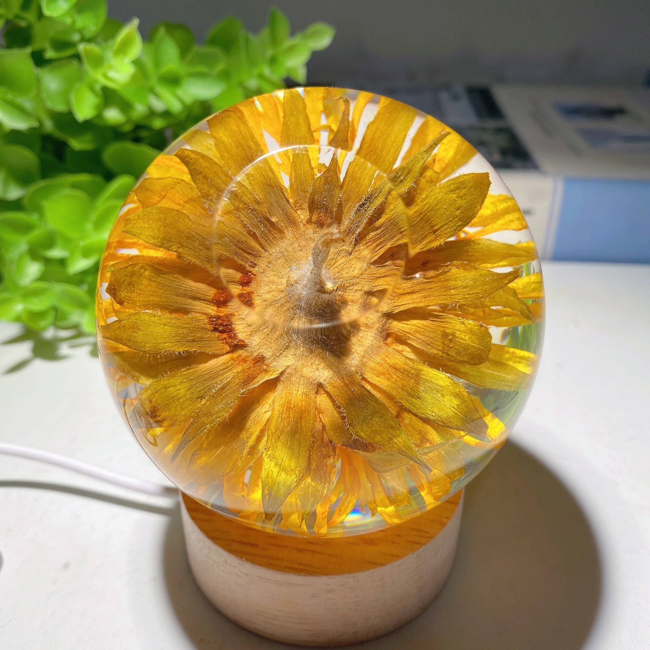 3.1 inch Resin Sunflower Sphere with Wooden Lamp Stand
