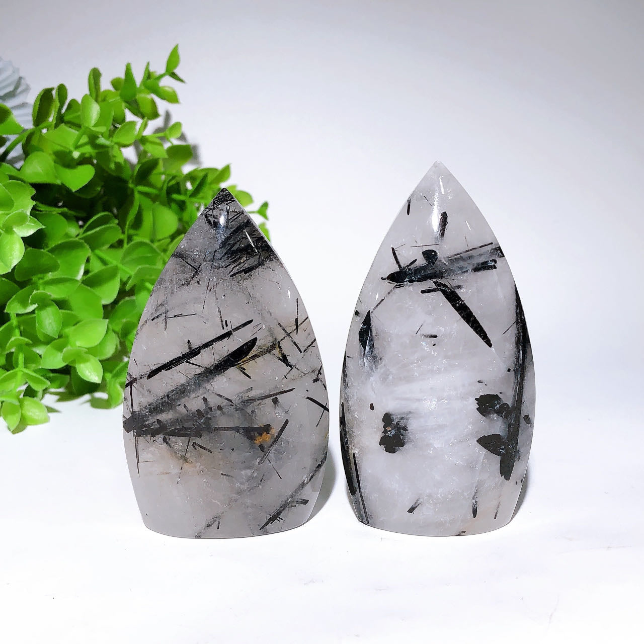 3.2-4.2in Black Tourmaline in Quartz Healing Crystal Specimen