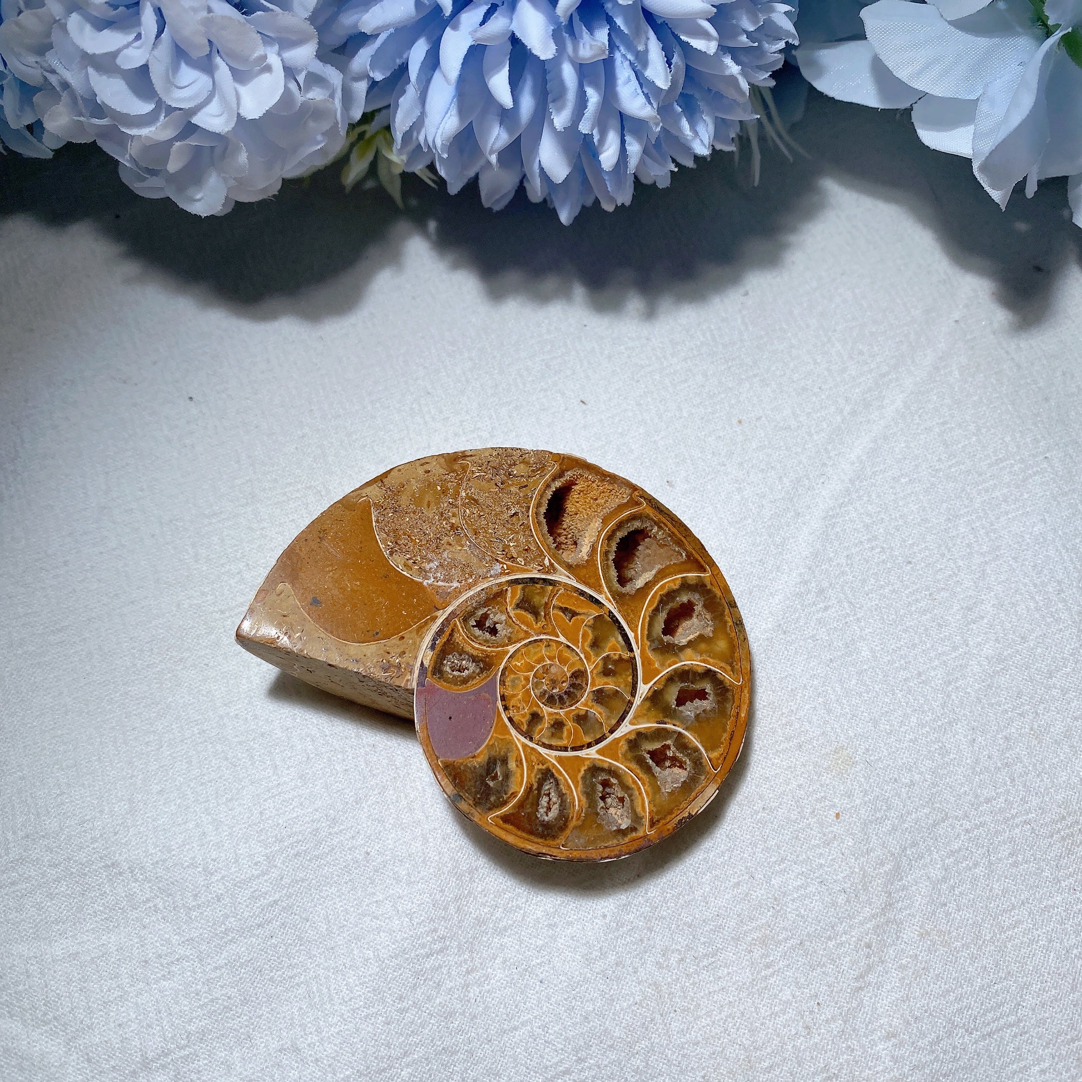 3.2" Ammonite Crystal Specimen 90g Polished Spiral