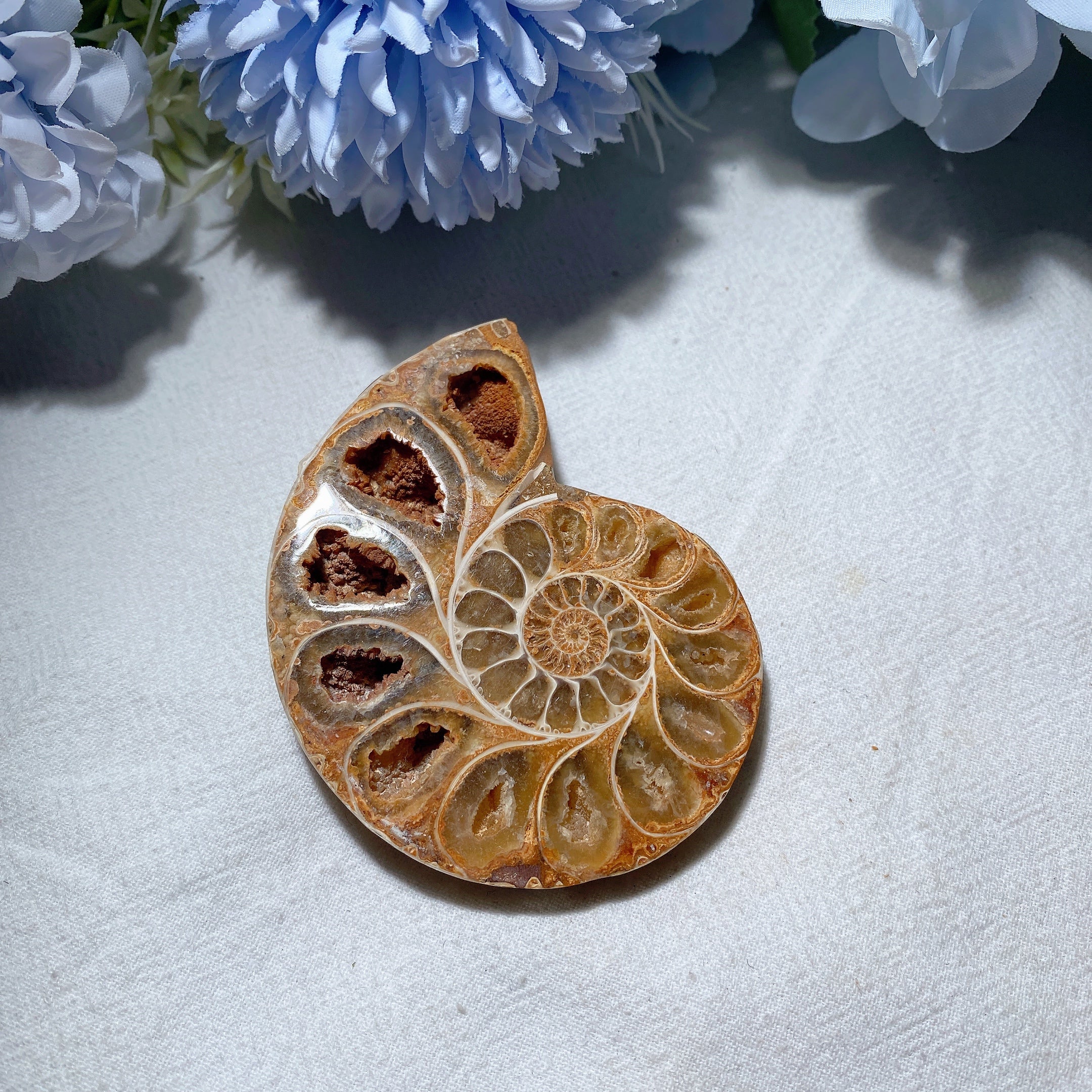 3.2" Ammonite Crystal Specimen 90g Polished Spiral