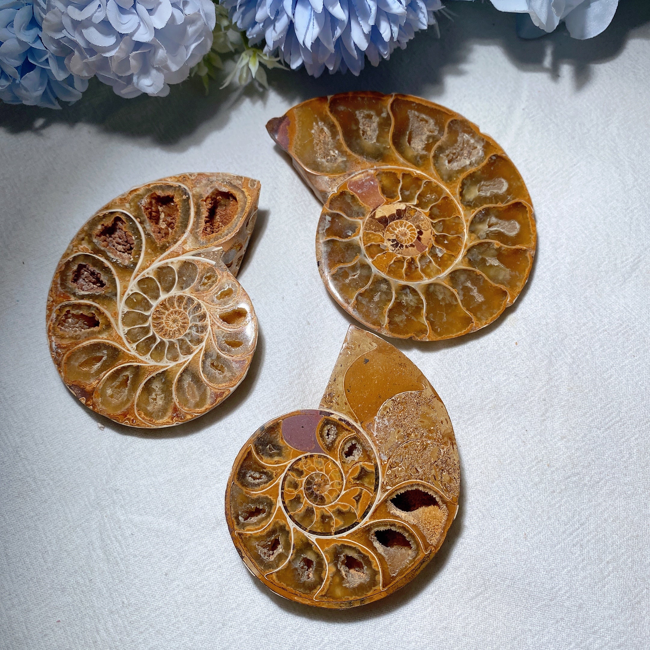3.2" Ammonite Crystal Specimen 90g Polished Spiral