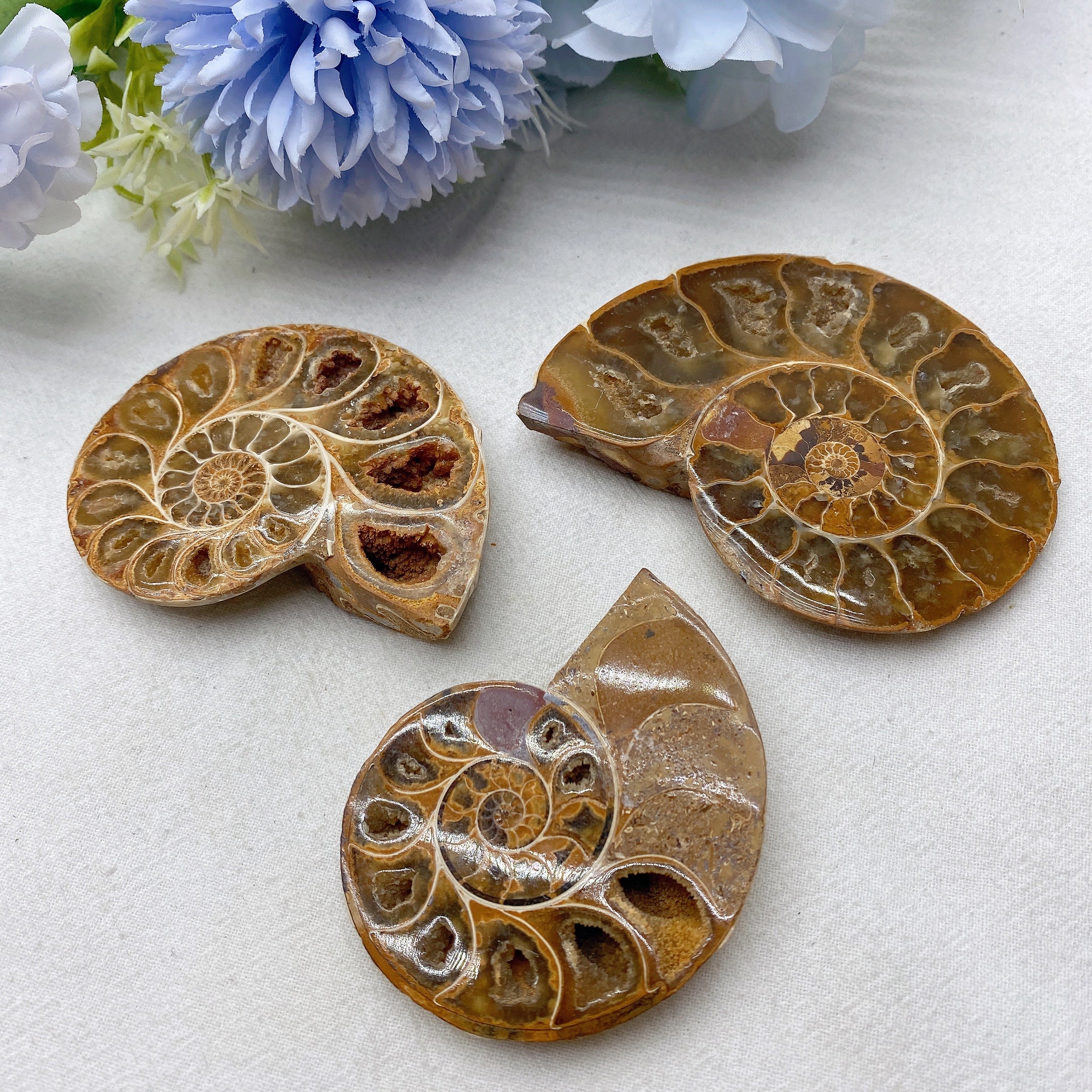 3.2" Ammonite Crystal Specimen 90g Polished Spiral