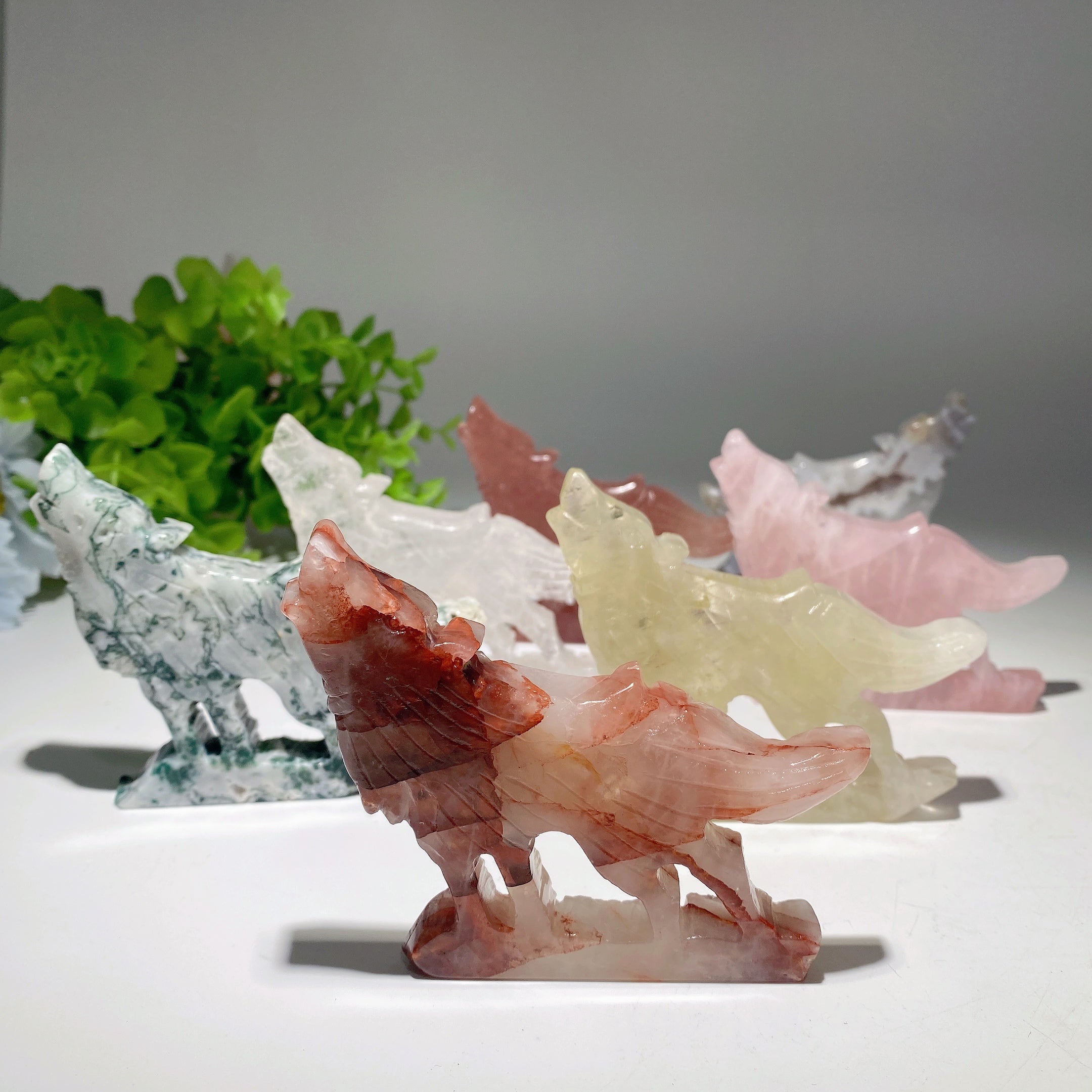 Crystal Wolves Mixed Crystal Wolf Carving 3.5-4 inch | Healing Sounds